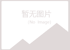 秦皇岛字迹咨询有限公司